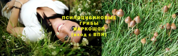 jwh Аркадак